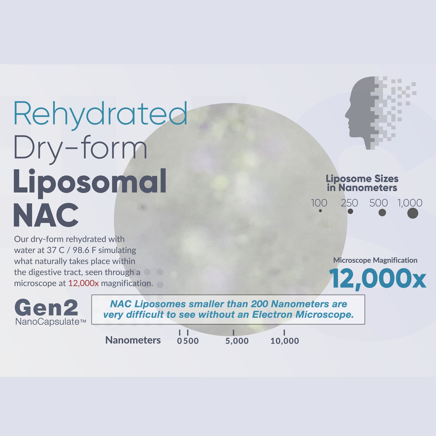 N-Acetyl Cysteine (NAC)(Liposomal) 700mg with Targeted Delivery