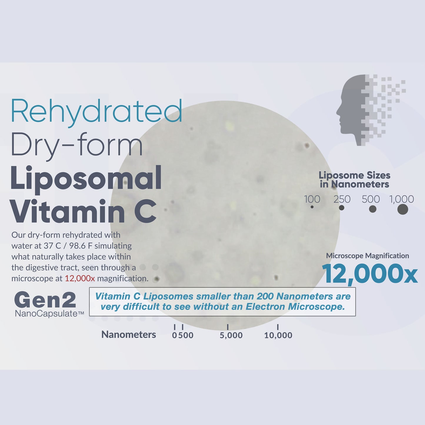 Vitamin C (Liposomal) 1,500mg (Powder)