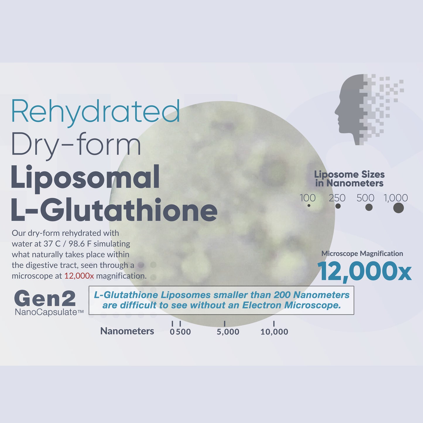GlutaNAC (Liposomal)(L-Glutathione & NAC) 700mg with Targeted Delivery